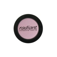 Radiant Professional Eye Color 221